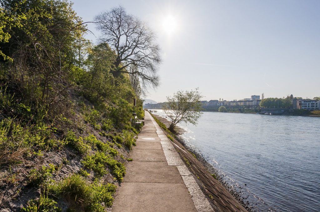 Frühling am Rheinufer bei Basel